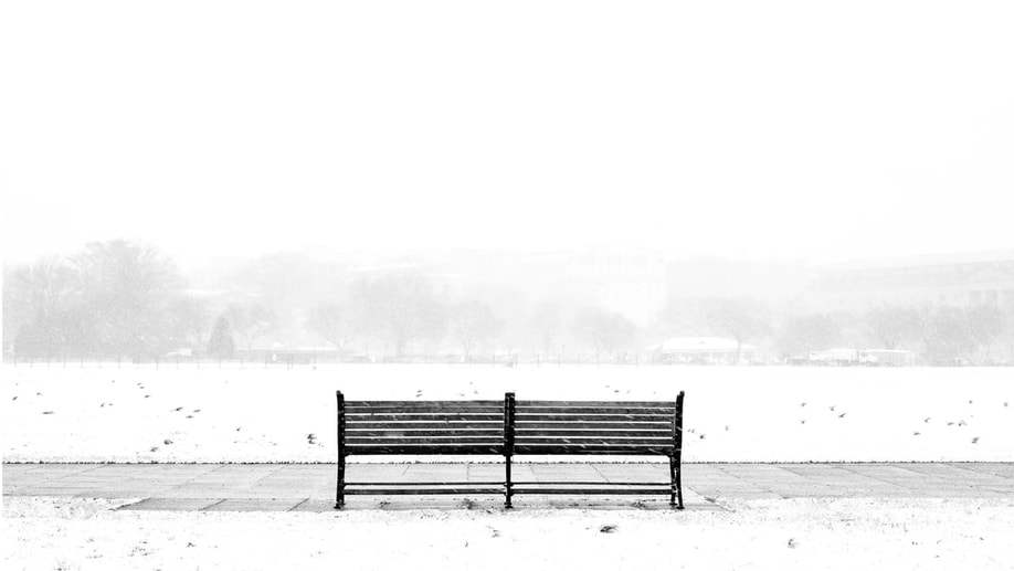 A single dark bench overlooking a field obscured by blowing snow